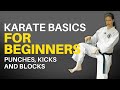 Karate Basics for Beginners (Follow-along Lesson)