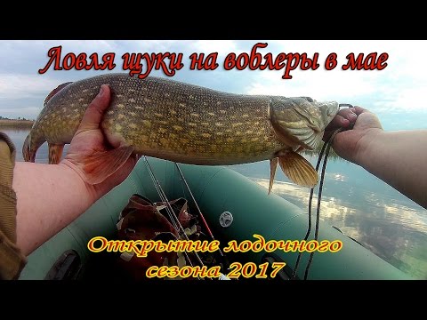видео ловля щуки на большие воблеры видео видео ловля щуки на большие воблеры видео