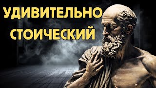 Эпичная Компиляция Чистого Стоицизма!! | Гарантировано Сделает Вас Мудрееми В 2024 Году!