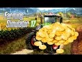 $$$ - INCOME PER FIELD BREAKDOWN - Farming Simulator 2017