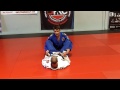 Jiu Jitsu Techniques - Pass the butterfly guard and clock choke