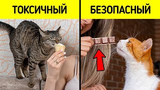 16 Фактов, Которые Животные Предпочитают Скрывать От Вас