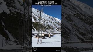 Super Saint Bernard