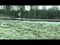 Cross Finale Trias