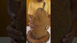 Jackfruit Gatti