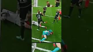 Sergio Ramos Fight Ramos Kavga