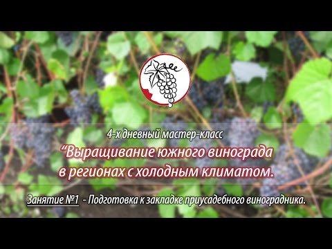 Вязание крючком : кайма, бордюры, обвязка Записи в рубрике Вышивка по сетке - Бисероплетение