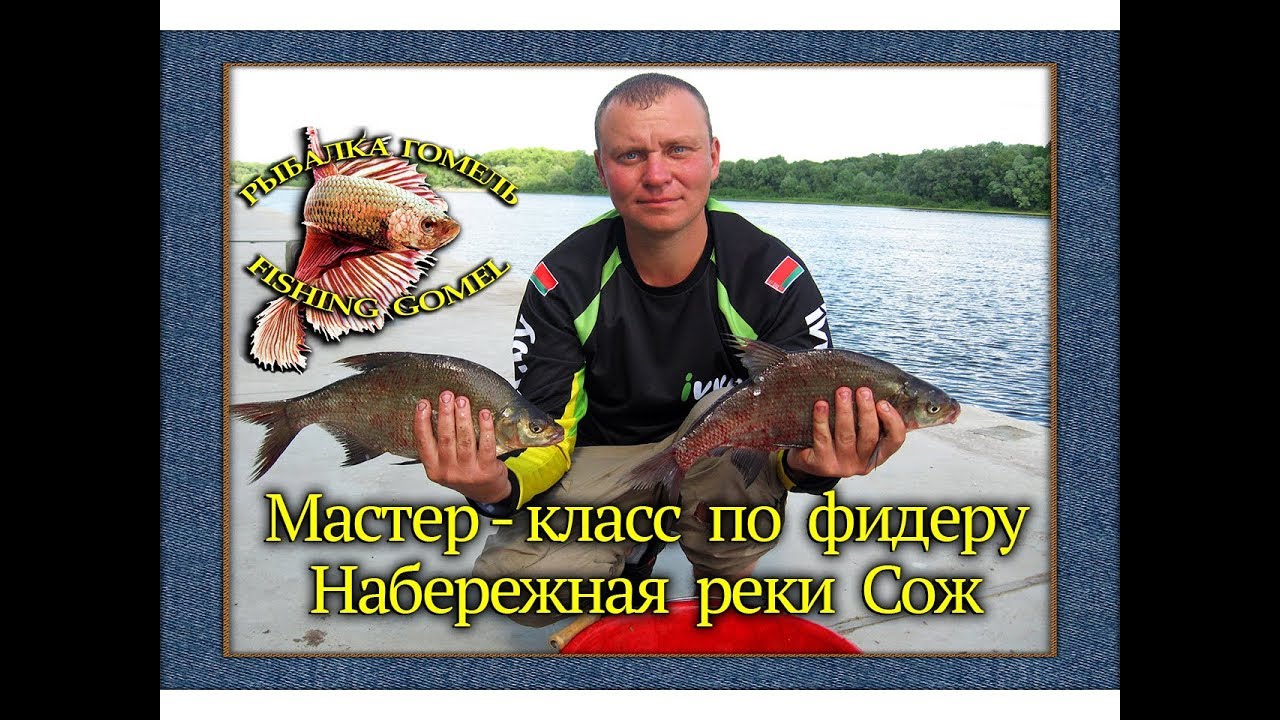 Видео мастер класс по фидеру 2018 Видео мастер класс по фидеру 2018