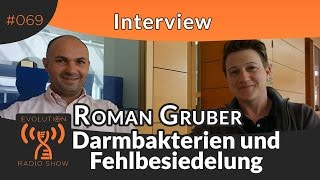 darmbakterien übergewicht