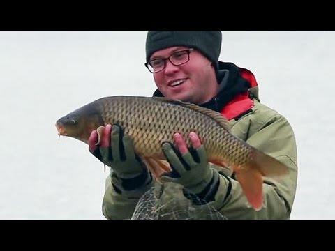 ловля карпа осенью видео с алексеем фадеевым ловля карпа осенью видео с алексеем фадеевым