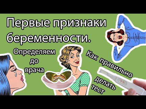 Статистика по тестам Статистика по тестам