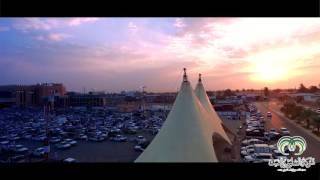 مهرجان التمور ببريدة - 1437 - شركة السلوم والغيث