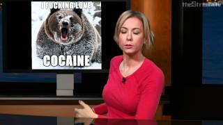 The Weakly News - The Weakly News #408 Shipwreck (Part 1 of 3)