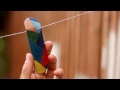 Finga fingerboards Outdoor Spot 2014