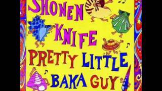 Watch Shonen Knife Summertime Boogie video