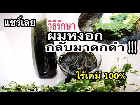 แชร์เก็บไว้!!วิธีรักษาผมหงอกกลับมาดกดำ แบบทันใจ ยาย้อมผม แชมพูไร้สารเคมี100%แม่ก้อยพาทำ