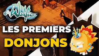Les Premiers Donjons En Team De 3 Sur Wakfu