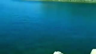 Maraqlii Vatsap Statuslari Konul Kerimova Bir Alem Var