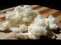 Como fazer o kefir crescer rápido