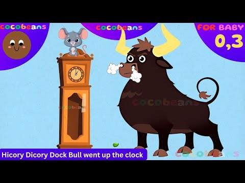 Hicory Dicory Dock  BULL went up the clock |Cocobeans Kids Tv