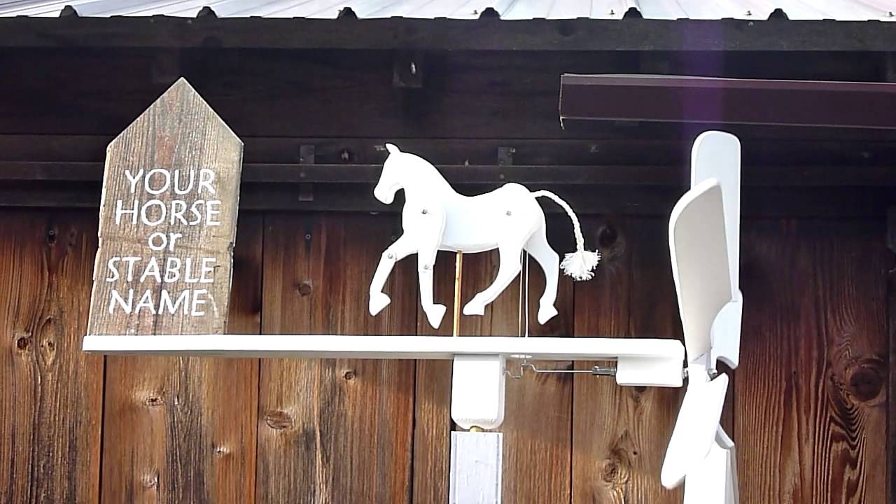 Woodcraft Project Paper Plan To Build Chicken Pecking Corn Whirligig