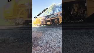 No Pátio De Limeira