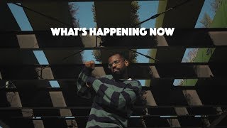 Watch Schama Noel Whats Happening Now video