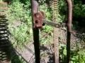 Самострела для слепыша своими руками Самострела для слепыша своими руками