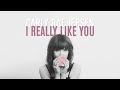Carly Rae Jepsen - I Really Like You (Audio)