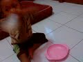 Ngocok Susu images Ngocok Susu