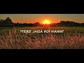 Tere Jaisa Koi Nahin || Lyrics Video|| (Ringmitelgen Hindi Version)