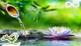 Soothing Relaxation: Relaxing Piano Music, Sleep Music, Water Sounds, Relaxing M