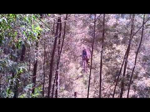 VID 20120115 00001