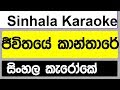 Jeewithaye Kanthare Sinhala Karaoke without voice   2019