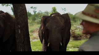 Watch Camp Elephant video