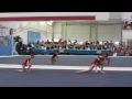 acro31