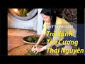 Quy Trình Làm Trà Xanh ở Tân Cương- Thái Nguyên