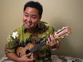 Learn to play the 'ukulele