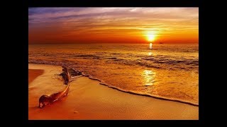 🔴 Relaxing Sleep Music 24/7: Meditation Music, Deep Sleeping Music, Peaceful Sleep