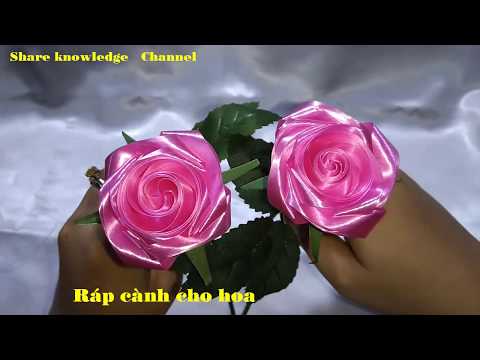 Share Knowledge-LÀM LÁ, CÀNH CHO HOA HỒNG RUY BĂNG|RIBBON ROSE