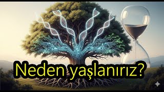 Neden Yaşlanırız? Zamanın Biyolojik İzleri Nasıl İşler?
