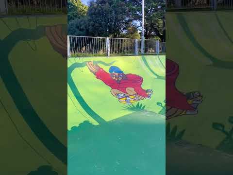 How our local skatepark looks 6 months after the community painted it with a jungle theme