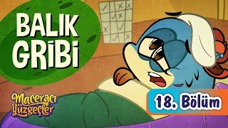 minika - Maceracı Yüzgeçler - 18.Bölüm - Balık Gribi