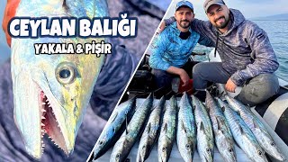 Adana’da Ceylan Balığı Yakalayıp Mangal Yaptık !!