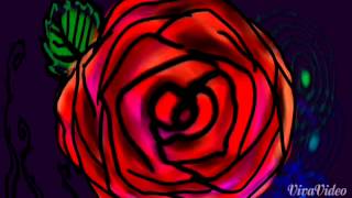 Watch Stereolab Anonymous Collective video