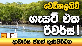 Pethikada 2025.08.04