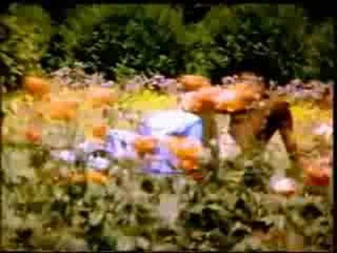 Tamil Kamakathaikal Tamil Kama Ool Pundai Mulai Devadiyal Sunni