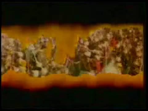Mahabharat-title-song