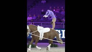 Vaulting