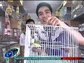 ตามทันเกษตร